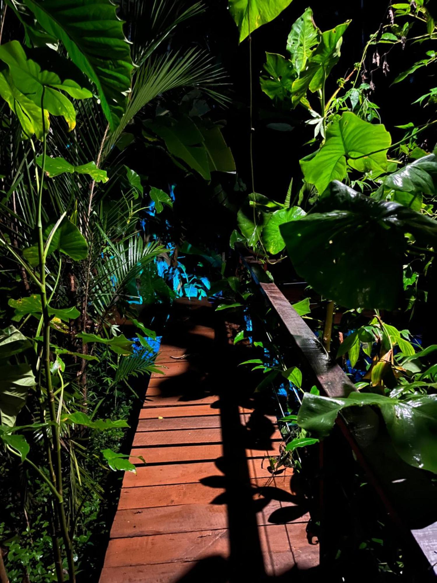 Olaria River Hostel Belém Eksteriør billede